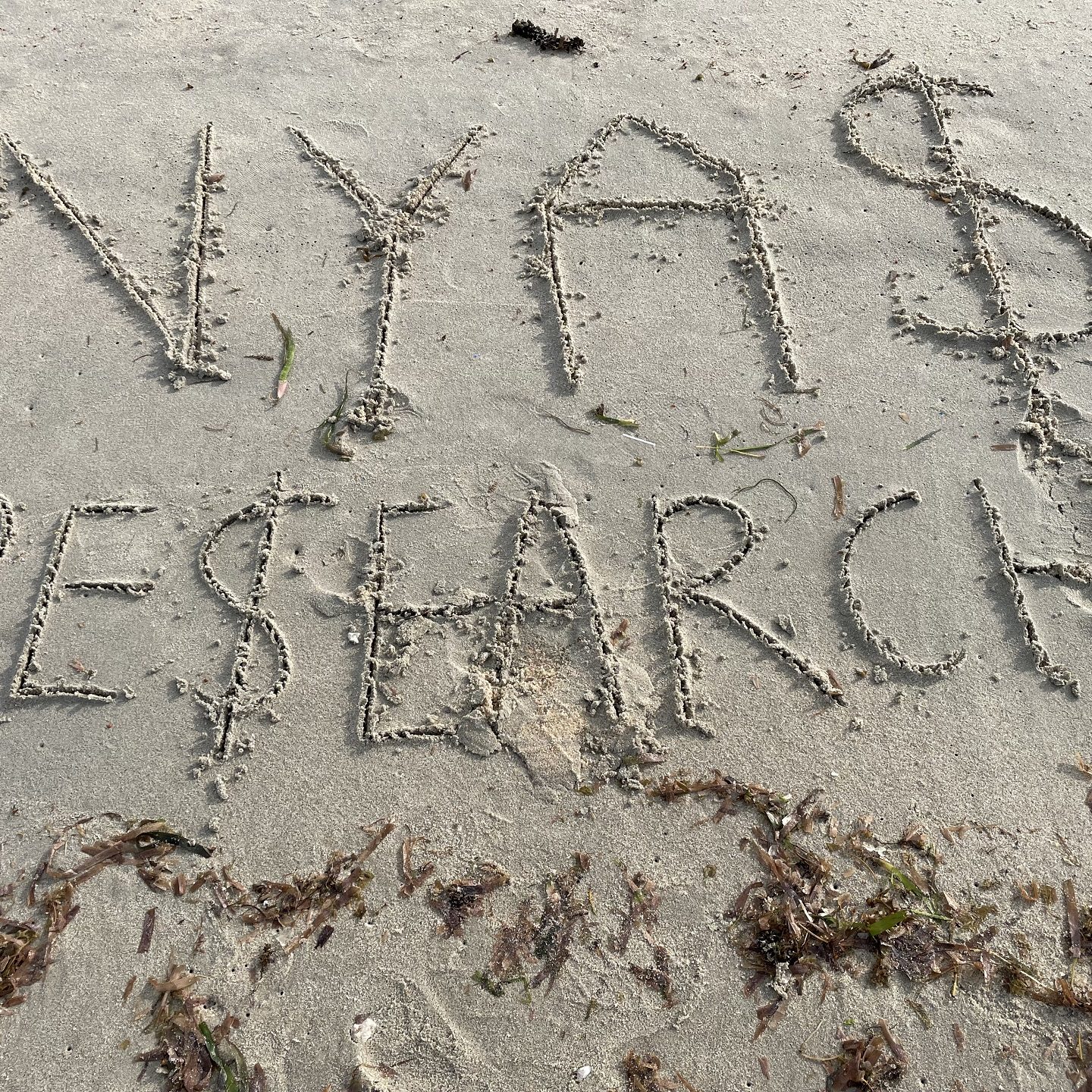 NYAS Research Survey Agency In India